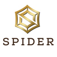 Logo Spider Business Center