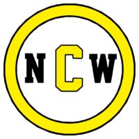 Logo NetCoworking Berrini