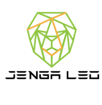 Logo Jenga Leo